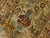 Gold Rara Super Fine Hand-Knotted Persian Silk Rug. 8'2"x 10'2" For Sale - Image 8 of 18