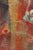Suzanne Jean, Fonds Marins, 1952, Oil Painting on Canvas For Sale - Image 6 of 10