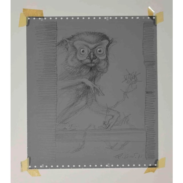 Lemur is an original drawing in pencil realized by Leo Guida in 1971. Good condition. Hand-signed. Leo Guida (1992 -...