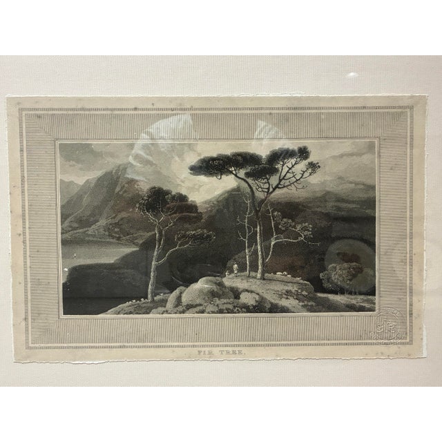 Decorative framed botanical landscape print by Natural Curiosities, reproducing a historical landscape engraving titled...