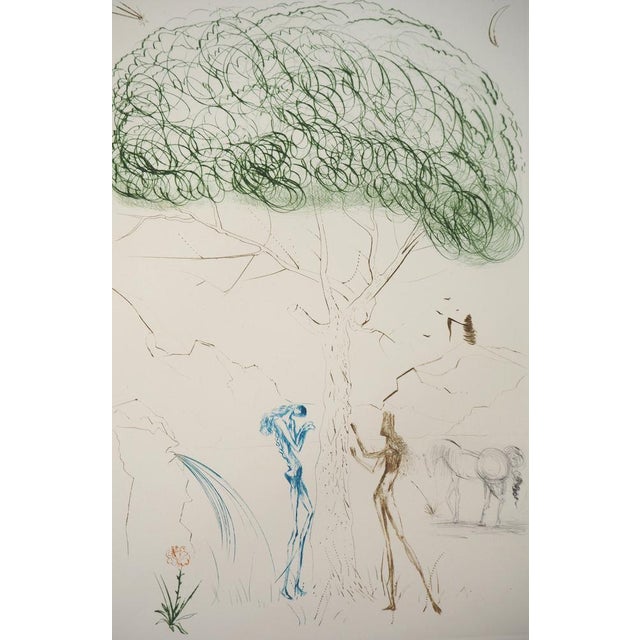 Salvador dali under the umbrella pine, 1970 original color etching (aquaforte) signed in pencil lower right by the...
