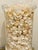 Shell 1970s Three Large Apothecary Glass Jars With Sea Shells For Sale - Image 7 of 8