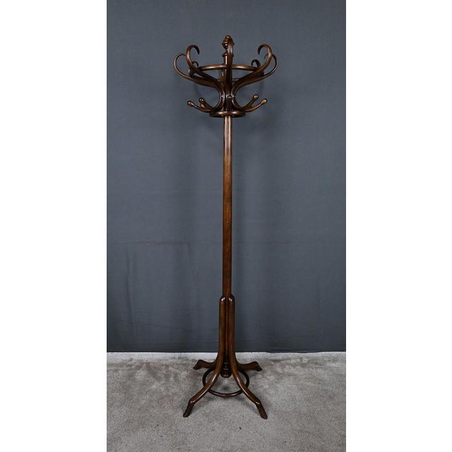 Early 20th Century Parrot Coat Rack in Beechwood, 1890s For Sale - Image 17 of 18