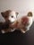 1987 Franklin Mint the Imperial Puppy of Satsuma Figurine For Sale - Image 4 of 8
