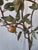 Vintage Mid Century Italian Tole Citrus Tree For Sale In Sacramento - Image 6 of 15