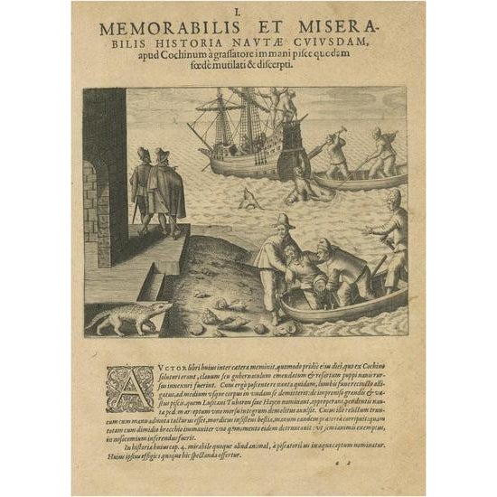 De Bry, Maritime Marvels of Dutch Seafarers at Cochin, 1601, Engraving For Sale - Image 6 of 6