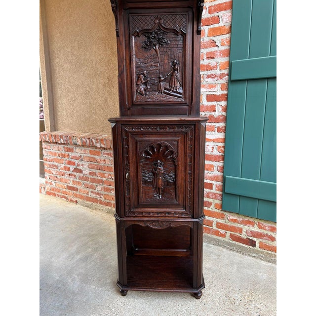 Antique French Breton Hall Cabinet Tall Narrow Carved Crown Bookcase C1880 For Sale - Image 16 of 18