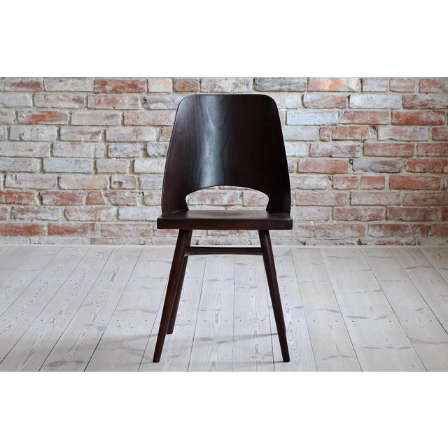 Model 514 Dining Chairs in Beech Veneer by Radomir Hofman for TON, Set of 4 For Sale - Image 4 of 14