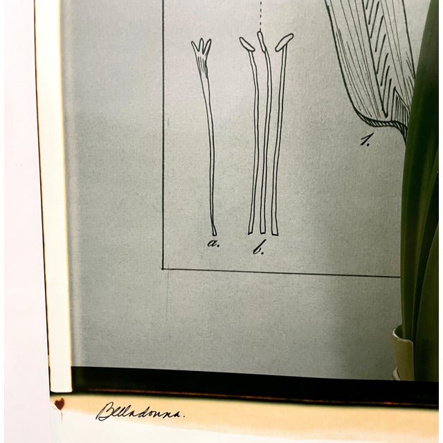 Contemporary Betty Hahn, Large Format Polaroid Photograph Still Life Color Photo Dye Print Betty Hahn Art, 1980 For Sale - Image 3 of 10