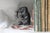 1930s Elephant Bookends, 1930s, Set of 2 For Sale - Image 5 of 18
