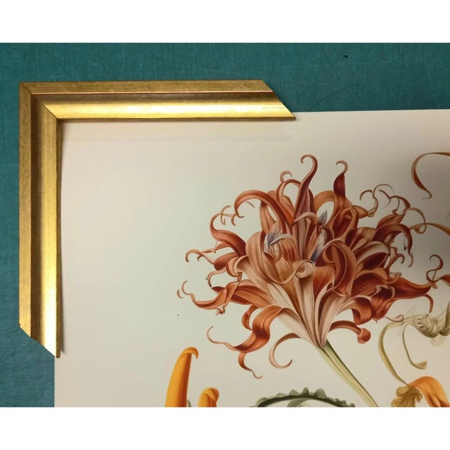 Rustic European Framed Antique Botanical Garden Study - Natural History Fine Art Print For Sale - Image 3 of 3