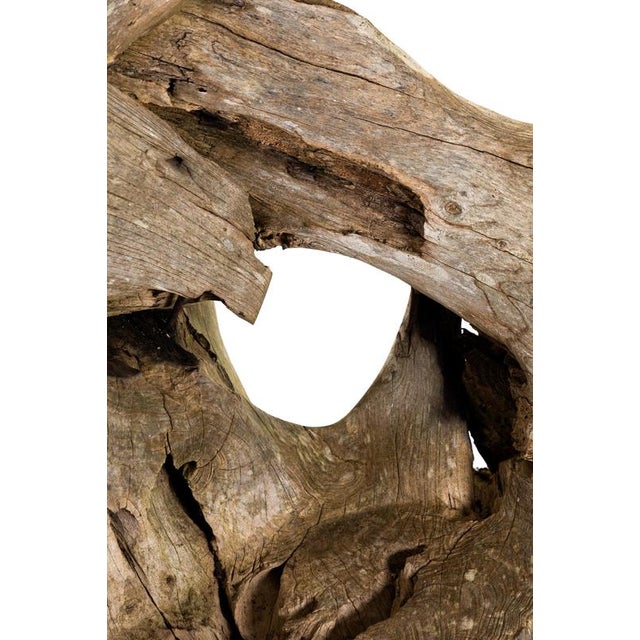 Teak Root Wood Armchairs, Set of 2 For Sale - Image 14 of 17