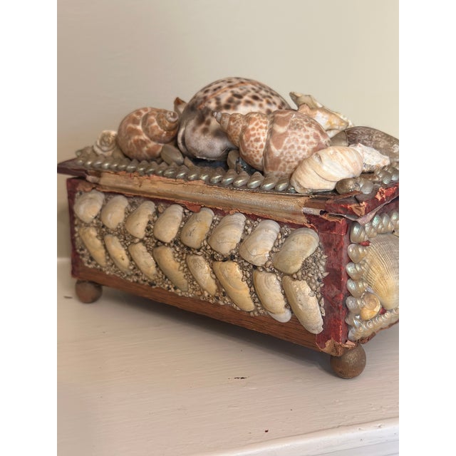 Antique Shell Box For Sale - Image 11 of 12