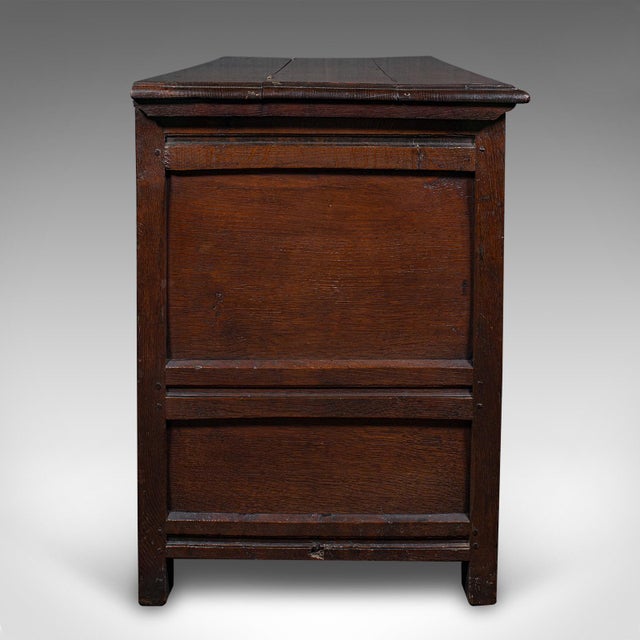 1700's Large Antique Mule Chest For Sale - Image 4 of 12