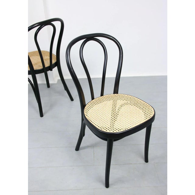 1970s Bentwood No. 218 Chairs, Set of 2 For Sale - Image 5 of 18