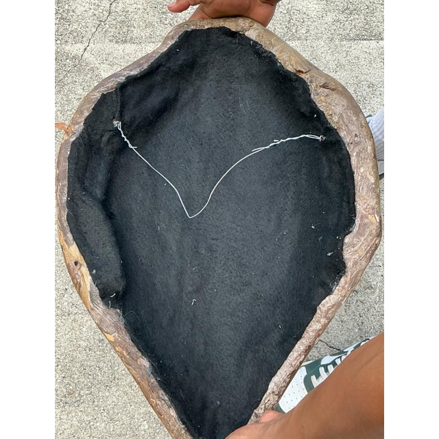 Brown Vintage Italian Scagliola Pigmented Plaster Turtle Shell For Sale - Image 8 of 12