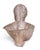 Classical Roman Late 20th Century Architectural Concrete Bust — Classical Style For Sale - Image 3 of 4