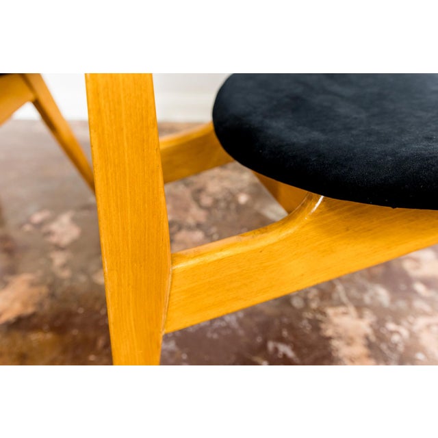 Vintage GFM 22 Chairs by J. Kędziorek, Poland, 1960s, Set of 3 For Sale - Image 10 of 14