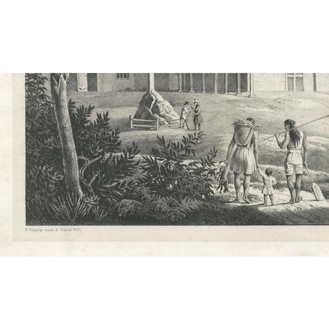 Poeppig, Peru Mission Sion, South America Exploration, 1834, Lithograph For Sale - Image 6 of 11