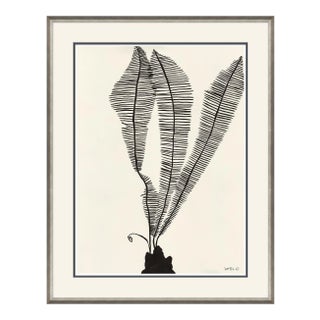 Scissor Fern Framed Art Print by Susan Hable For Sale
