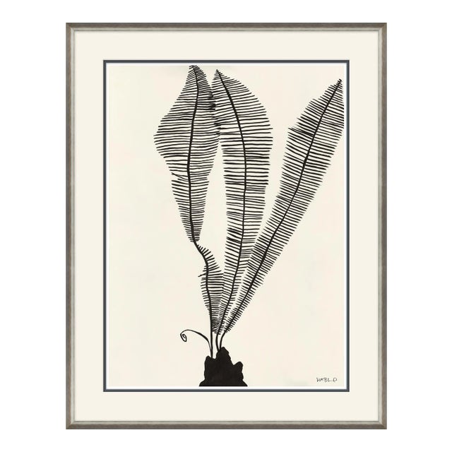 Scissor Fern Framed Art Print by Susan Hable For Sale