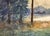 Mid 20th Century Looking Out Over the Lake, Forest Landscape by Joseph Anthony Atchison For Sale - Image 5 of 10
