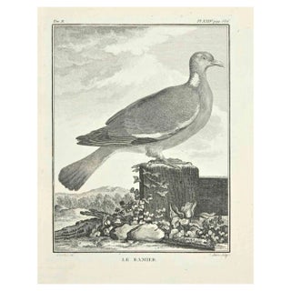 Jacques Baron, Le Bamier, Etching, 1771 For Sale