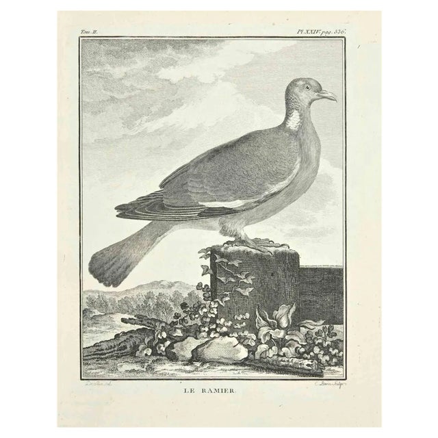 Jacques Baron, Le Bamier, Etching, 1771 For Sale