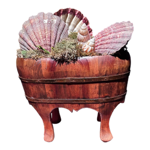 50s Chinese Wood Foot Tub Shell Collection Vase Natural Bowl Asian Chinoserie Vintage