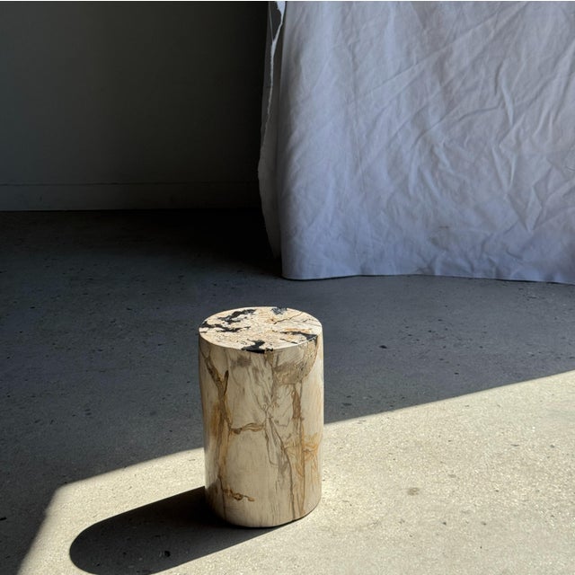 Contemporary Small Side Table in White Petrified Wood Inlaid with Black, 1980s For Sale - Image 3 of 11