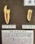 Black Japanese Dental Teaching Display with Anatomical Models, 1920s For Sale - Image 8 of 18