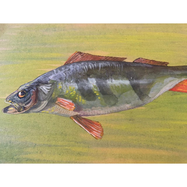 Carl H. Berberich, Swimming Perch in Green Water, 1916, Oil Painting on Canvas For Sale - Image 7 of 11