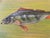 Carl H. Berberich, Swimming Perch in Green Water, 1916, Oil Painting on Canvas For Sale - Image 7 of 11