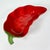 Red 1980s Vintage Boho Chic Southwestern Red Jalapeño Pepper Serving Bowl. For Sale - Image 8 of 11