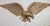 American Very Heavy Vintage Solid Bronze Wall Mount American Bald Eagle Bird Brass Statue For Sale - Image 3 of 7