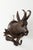 Pair of Black Forest 1880s Carved Wooden Chamois Coat or Hat Racks with Foliage For Sale - Image 4 of 12