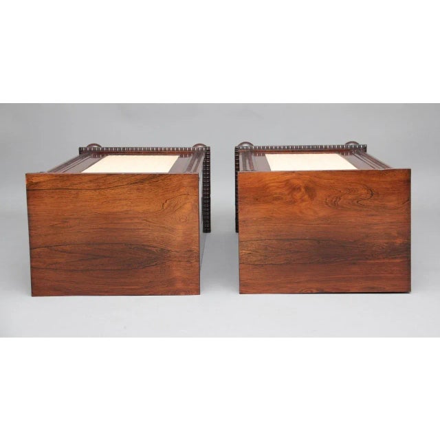 Rosewood Pedestal Cabinets, 1830s, Set of 2 For Sale - Image 4 of 14