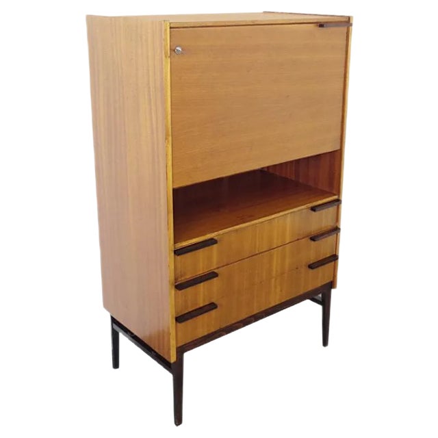 Mid-Century Bar Cabinet, 1960s For Sale
