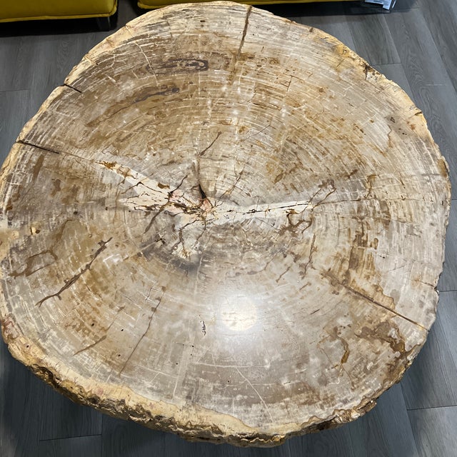 1990s Petrified Wood Coffee Table For Sale - Image 11 of 12