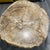 1990s Petrified Wood Coffee Table For Sale - Image 11 of 12