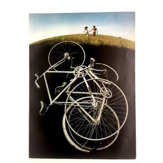 1970s Grassy Romp Print by Sam Haskins For Sale