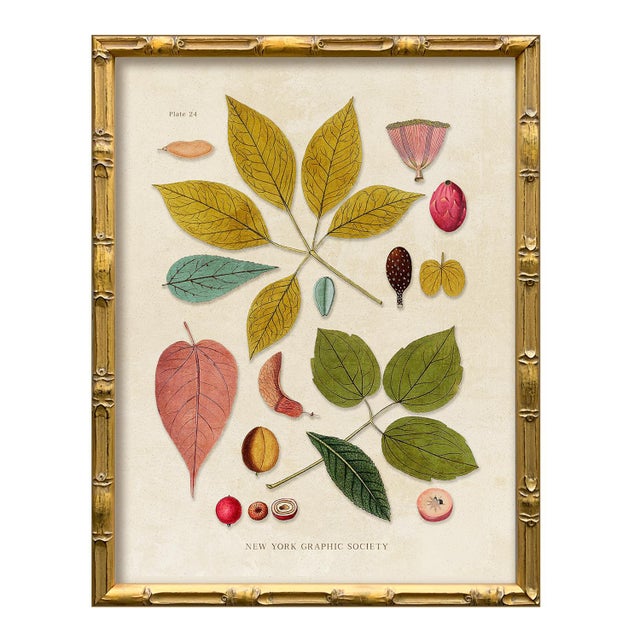 Contemporary Contemporary Reproduction (Set of All 4) Vintage Botanical Leaves Art Prints, Framed For Sale - Image 3 of 9