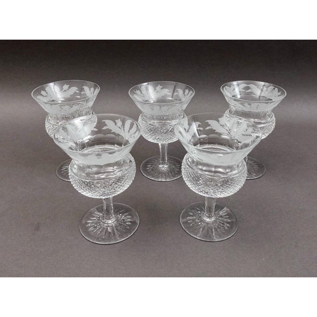 Edinburgh Crystal Mid 20th Century Edinburgh Crystal Scotland Thistle Champagne Sherbet Glasses- Set of 5 For Sale - Image 4 of 10