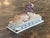 Ceramic 19th Century English Polychrome Pottery Lion For Sale - Image 7 of 7
