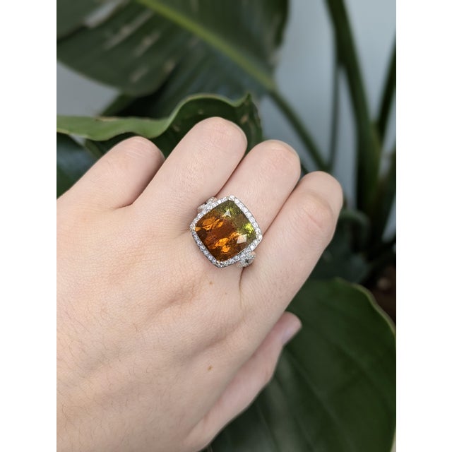 This striking ring features an impressive 11.3ct cushion-cut bi-color tourmaline from Brazil, measuring 13mm and...