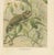 Paper P. J. Smit, Chameleons in Tropical Foliage, 1895, Color Lithograph For Sale - Image 7 of 10
