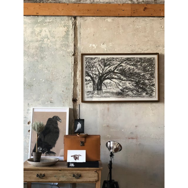 Contemporary "Print Collection: Landscape Study" Contemporary Original Black and White Landscape Print on Paper For Sale - Image 3 of 8