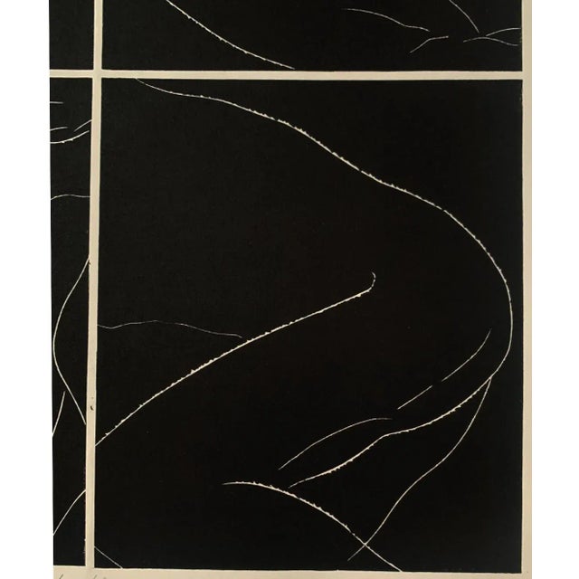 Luiza kasprzyk studied at the faculty of graphics and painting at the academy of fine arts in łódź, in atelier of...