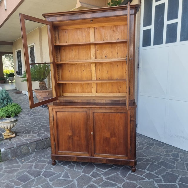 Brown Antique Display Cabinet in Walnut, 1820 For Sale - Image 8 of 14