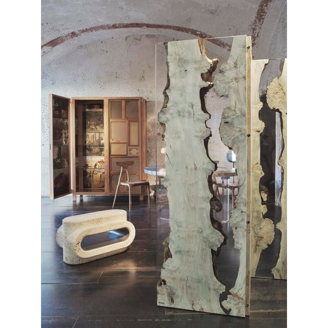 Chiron Screen by Andrea Forti e Eleonora Dal Farra For Sale - Image 10 of 12